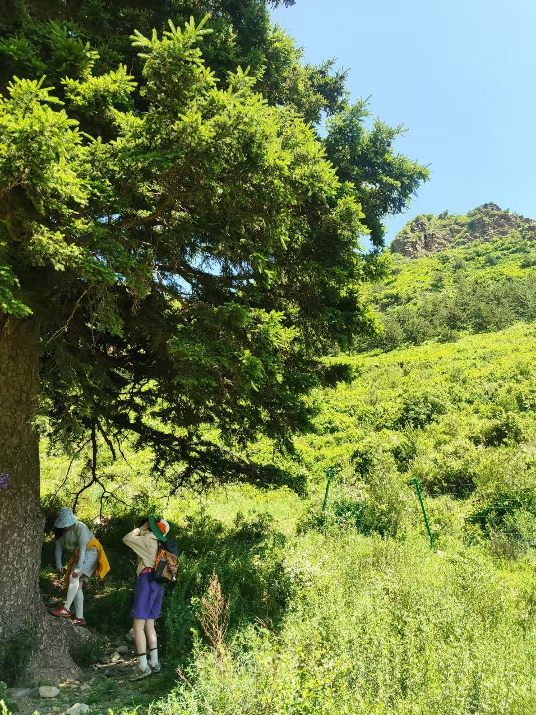 Outdoor adventure like a Ghibli movie